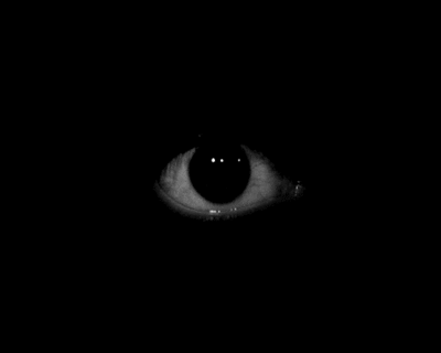 Subject 0004 - Ocular Matrix Illustration